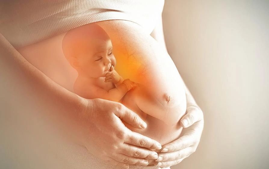 CHĂM SÓC SỨC KHỎE SINH SẢN: VAI TRÒ CỦA VITAMIN TRONG HÀNH TRÌNH LÀM MẸ
